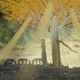 Image for article titled Elden Ring Looks Fantastic As A PS1 Game